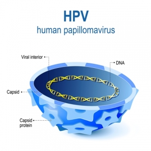 Ενδοεπιθηλιακή νεοπλασία πρωκτού (Αnal Ιntraepithelial Νeoplasia –AIN) και πρωκτοσκόπηση υψηλής ανάλυσης (High Resolution Anoscopy - HRA)