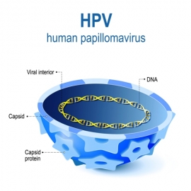 Ενδοεπιθηλιακή νεοπλασία πρωκτού (Αnal Ιntraepithelial Νeoplasia –AIN) και πρωκτοσκόπηση υψηλής ανάλυσης  (High Resolution Anoscopy - HRA)